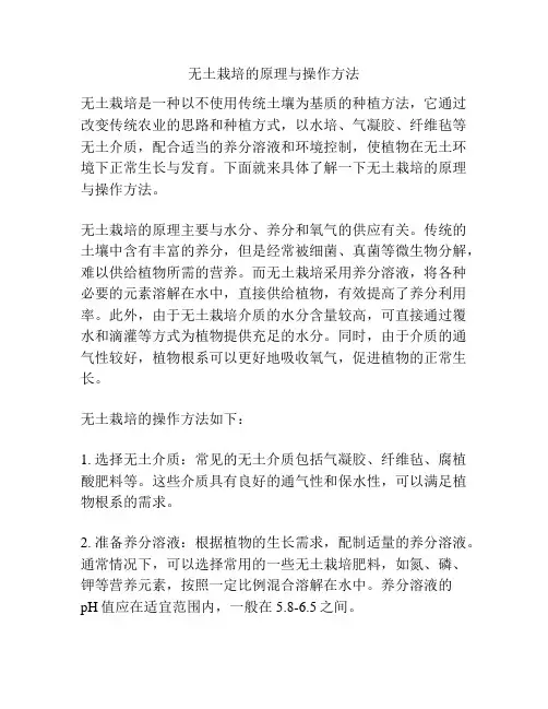 无土栽培的原理与操作方法