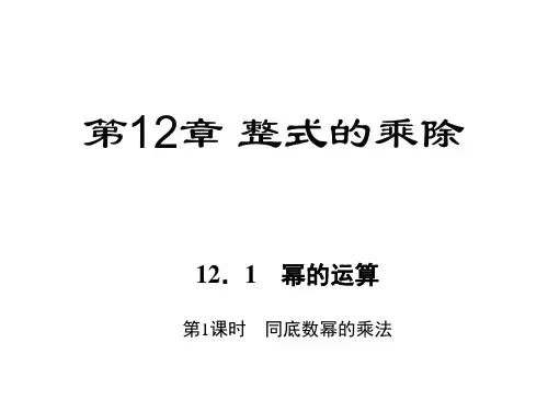 华师大版八年级数学上册习题课件：第12章 整式的乘除
