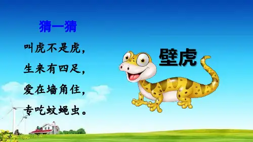 统编版一年级下册语文课件-21+小壁虎借尾巴+ (共55张PPT)