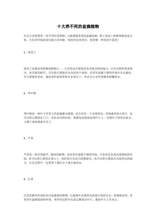 十大养不死的盆栽植物