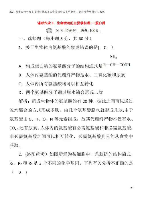 生物一轮复习3生命活动的主要承担者__蛋白质含解析