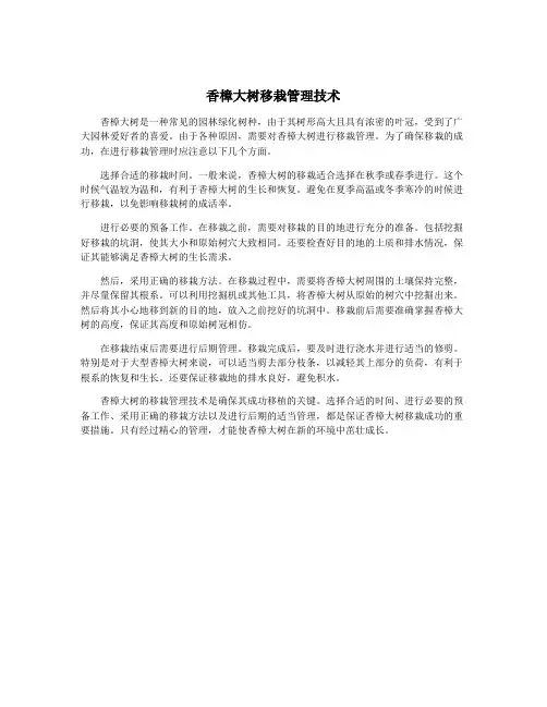 香樟大树移栽管理技术