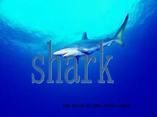 Protect sharks (保护鲨鱼)英语课堂演讲PPT