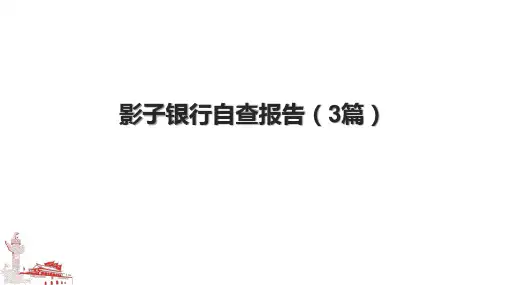 影子银行自查报告(3篇).pptx