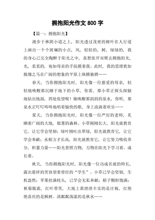 拥抱阳光作文800字