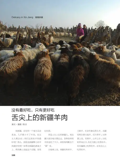 没有最好吃,只有更好吃舌尖上的新疆羊肉