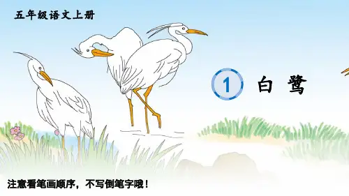 部编版五年级语文上册全册生字课件