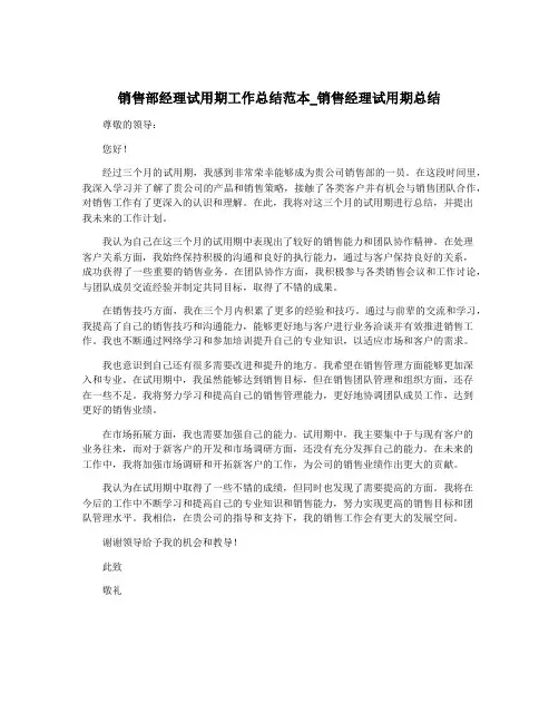 销售部经理试用期工作总结范本_销售经理试用期总结