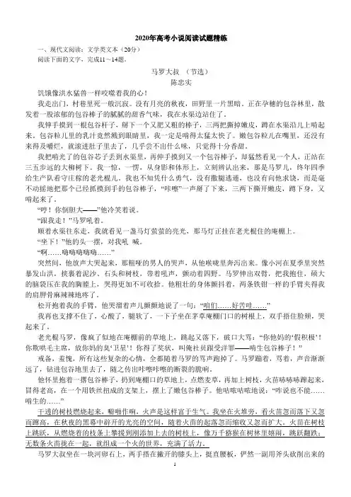 2020年高考小说阅读试题精练含答案