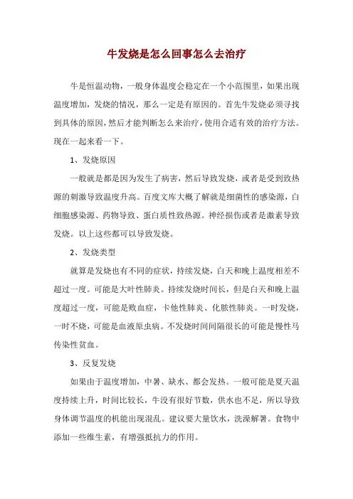 牛发烧是怎么回事 怎么去治疗