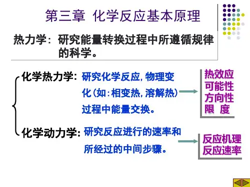 第三章化学反应基本原理
