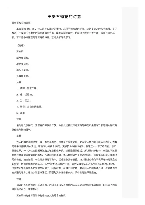 王安石梅花的诗意