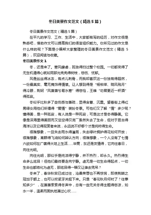 冬日美景作文范文（精选5篇）