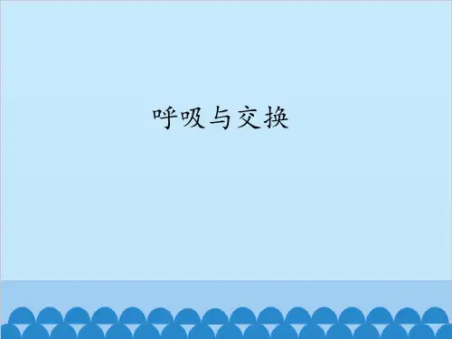 六年级下 呼吸与交换 冀人版ppt