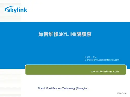 SKYLINK隔膜泵维修PPT解析