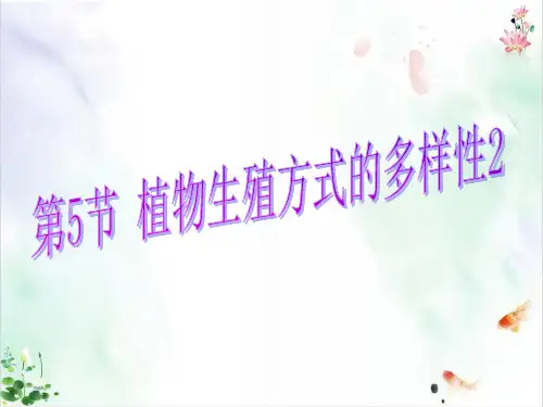 植物生殖方式的多样性件ppt