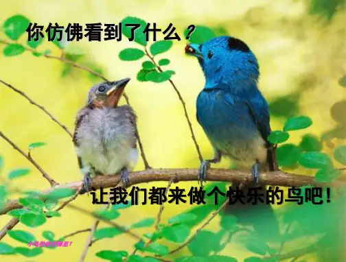 小鸟的家课件ppt