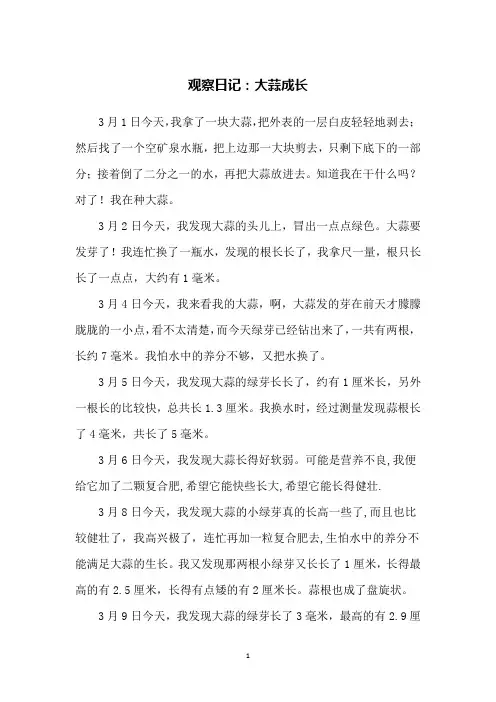 观察日记：大蒜成长