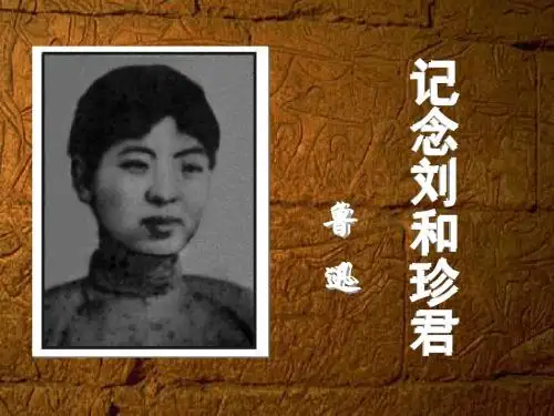 《记念刘和珍君》重要句子的理解.