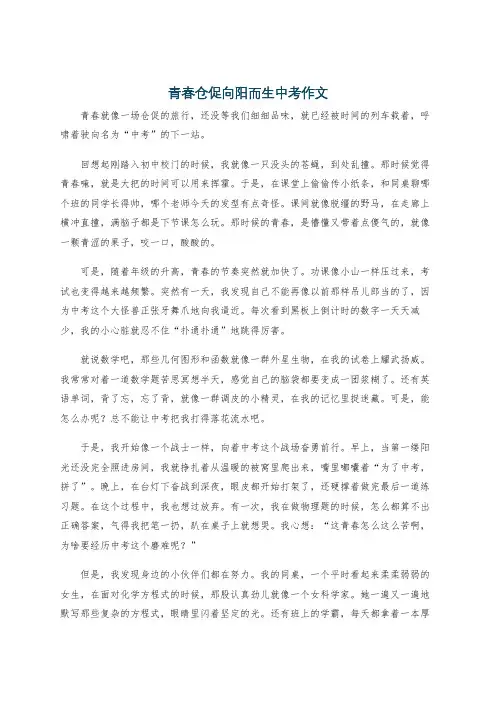 青春仓促向阳而生中考作文