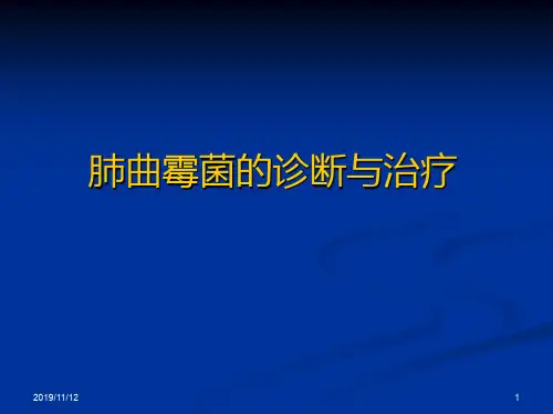 肺曲霉菌的诊断与治疗PPT课件