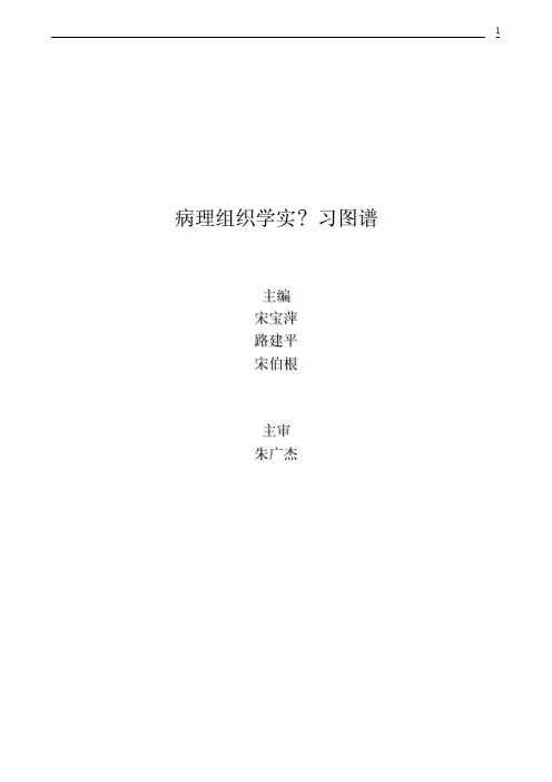 病理组织学实习图谱详细内容