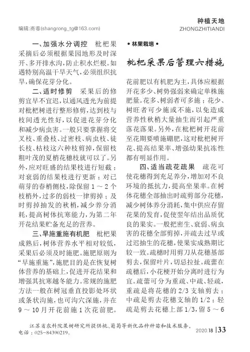 枇杷采果后管理六措施