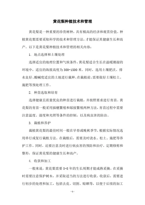 黄花梨种植技术和管理
