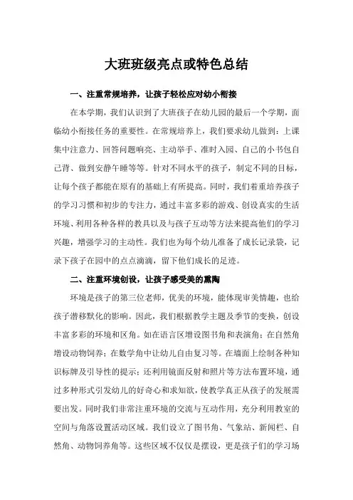 大班班级亮点或特色总结