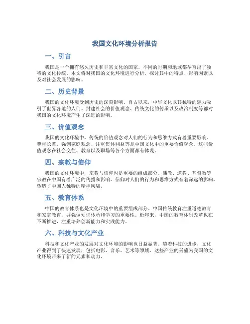我国文化环境分析报告