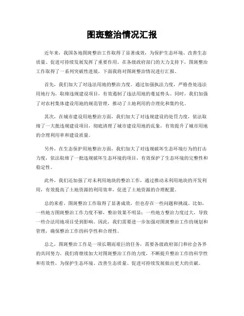 图斑整治情况汇报