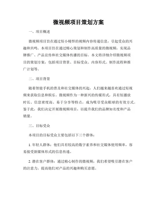 微视频项目策划方案