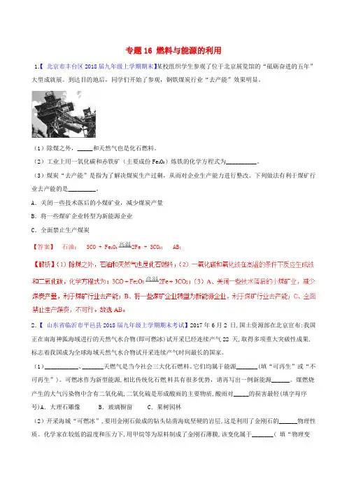 2019年中考化学大题狂做系列 专题16 燃料与能源的利用(含解析)