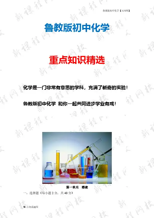 鲁教版初中化学五四制九年级全册《溶液》单元测试4