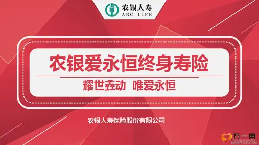 农银爱永恒终身寿险销售逻辑案例演示31
