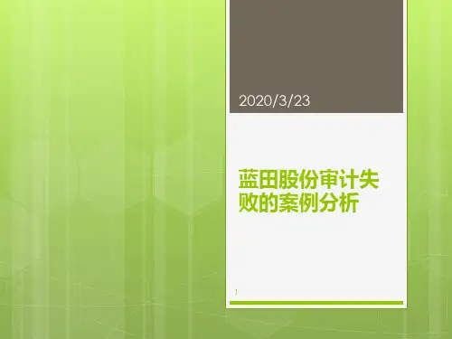 蓝田审计失败PPT课件