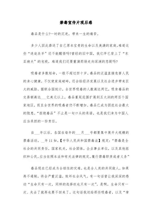 禁毒宣传片观后感(六篇)
