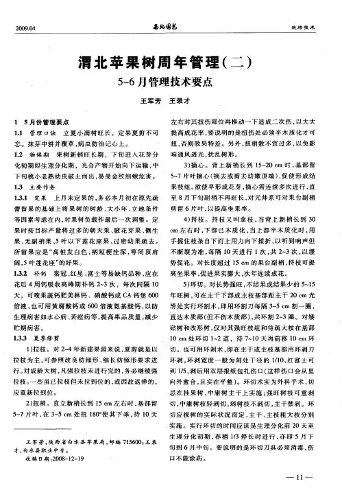 渭北苹果树周年管理(二)5-6月管理技术要点