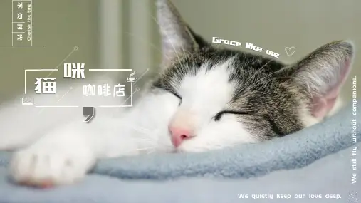 小清新猫咪主题咖啡馆通用PPT模板