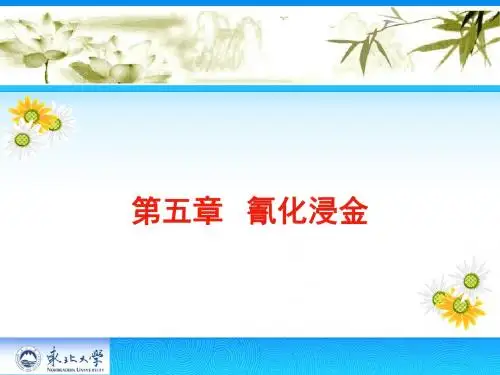 金银冶金学PPT课件5.氰化浸出.
