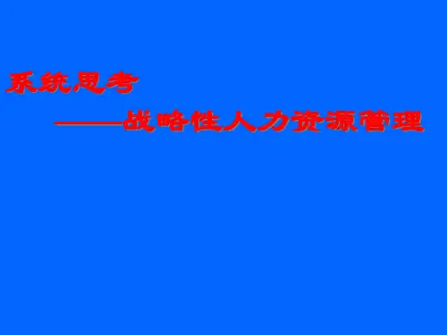 战略性人力资源管理(彭剑峰)