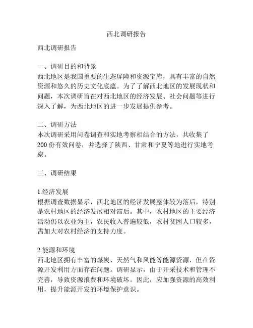 西北调研报告