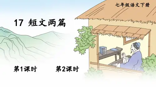 第17课《爱莲说》课件