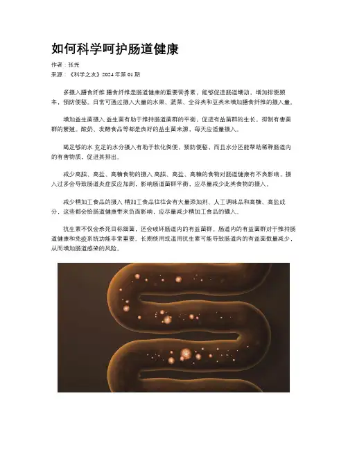 如何科学呵护肠道健康