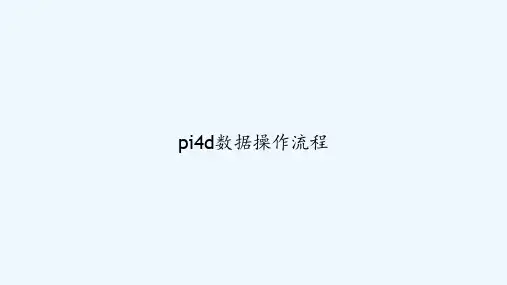 pi4d数据操作流程 PPT