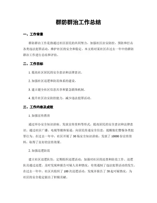 群防群治工作总结