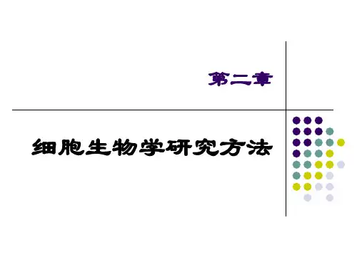 细胞生物学第2章-方法