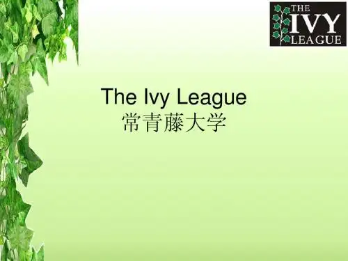 常青藤大学