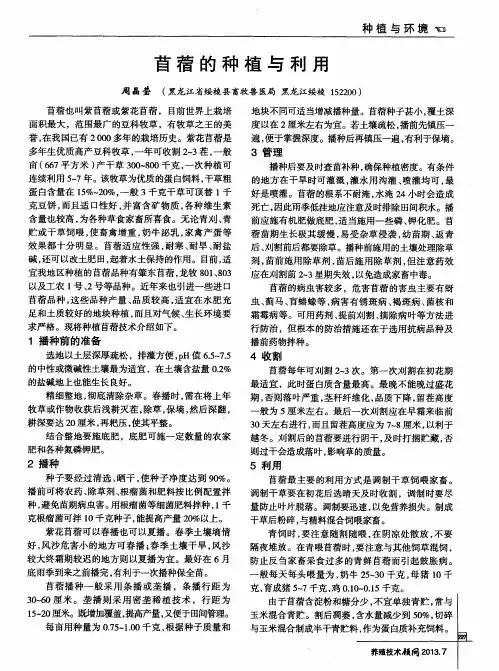 苜蓿的种植与利用