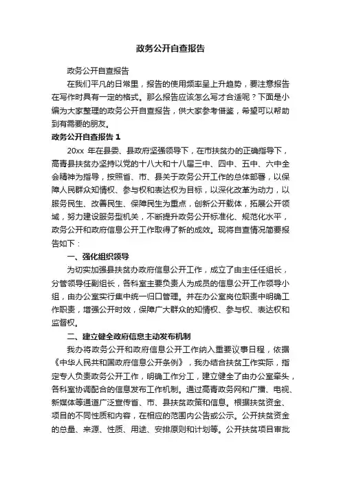 政务公开自查报告